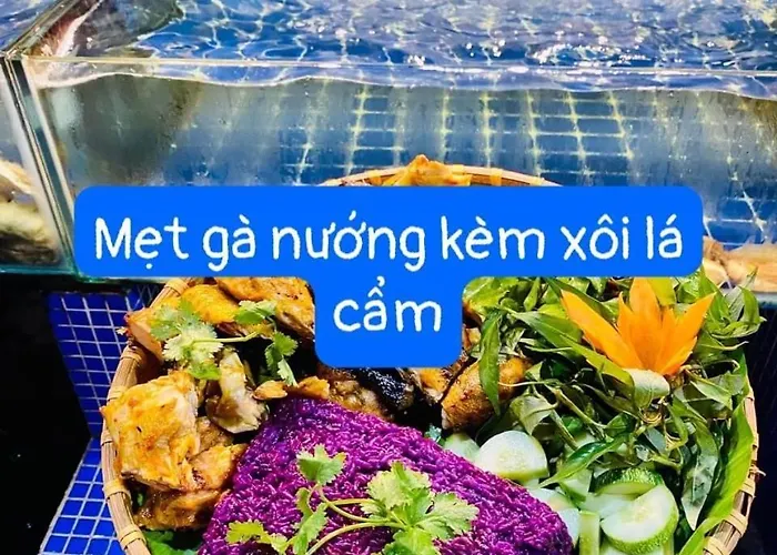 Ocean Real Проживание в семье *